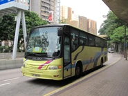 NR41 LF9905.jpg (235 KB) 盈利環球的標準塗裝