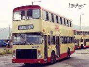 87P1-1.jpg (87 KB) 87P線用車抵達大角咀總站