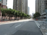 景峰徑外貌（2011年4月）