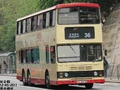 36