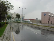 近海皇路的西端盡頭