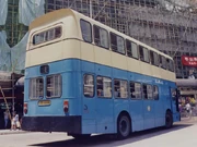 中巴丹尼士喝采右邊車身及車尾