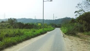 Lin Ma Hang Rd.png (2.45 MB) 蓮麻坑路中段一景(2016年8月)