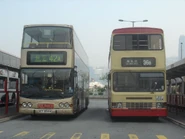 九巴42A線及九巴36B線停泊在此站