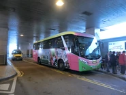 兩輛雙門MAN A91轉投普通服務後，有新車取代。圖為其中一輛配有Marcopolo Audace 1050車身（高3.71米）的雙門斯堪尼亞K360IB