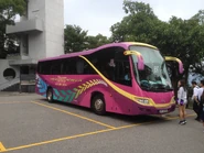 此線途經新亞書院