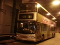 31B