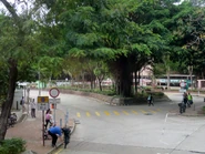 Tai Ping BT1 20180404.jpg (748 KB) Tai Ping BT1 20180404