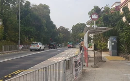 Tai Po Tsai 20220305 1