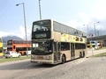 A43P
