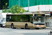 PG9531-Training Bus