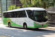 配Marcopolo Audace 800車身，行走香港中文大學校巴1A線