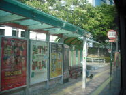 九巴及九龍城區議會均在此站設置候車亭（2011年1月）