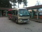 DBAY62 DBAY Golf shuttle bus