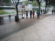 Yan King Road.jpg (2.4 MB) 站景(2011年1月)