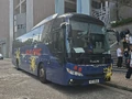 YZ8164