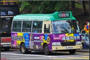 A route 810 minibus was passing through A Kung Kok Street