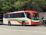 Sun Fai Transportation FT462 MTR Free Shuttle Bus E00 10-01-2021