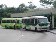 NR954線以景湖居為總站