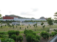 從東匯路拍攝錦上路站公共運輸交匯處