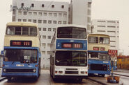 中巴三代不同的巴士，一起行走111線（左至右為LV、VA、MB）