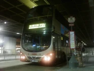 九巴238X線以中港碼頭為總站