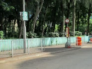 Kai Yip BT5 201509.jpg (772 KB) Kai Yip BT5 201509