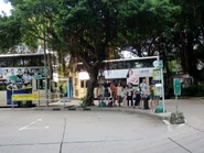 小巴站景（2018年6月）