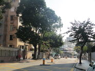 Tat Chee Avenue (2) 