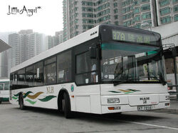 NLB37A.jpg