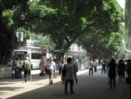 站景（2010年5月）