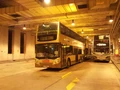 259D