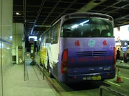 華通中港快綫及居民巴士NR904線站位