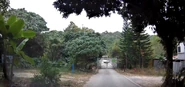 元朗段稔灣路近新界西堆填區有大閘分隔，車輛無法取道稔灣路來往下白泥及曾咀