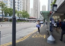 8land Gdn 20250214 1