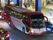 NR501線由迅達巴士營辦