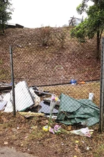 貨櫃車衝落山坡的位置