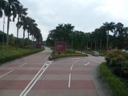 近迪士尼樂園公共運輸交匯處入口