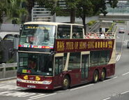 大巴士現時已提供全低地台巴士服務
