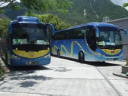 樂園快線（永東及榮利）巴士在此停泊，留意巴士設有此線的路線牌