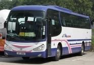 GT293（猛獅A91，配SC Chivalrous車身）