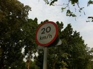 加州花園大道限制速度20km/h