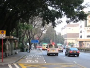 站景（2011年1月）