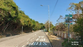 StopNo.27 TONG FUK BEACH 20250210