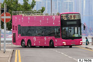 新輝旅遊的開篷ND323F（圖為TJ6055），車身披上帶有多個白色問號的粉紅底色塗裝