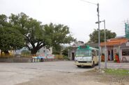 新界專綫小巴56B線總站於丹竹坑村通道盡頭