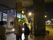 城巴及龍運巴士E31線站牌（2010年11月）