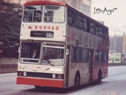 CZ6686 68M.jpg (78 KB) 九巴的梅斯特斯平治O305樣辦車(ME1)行走68M線