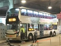 981P