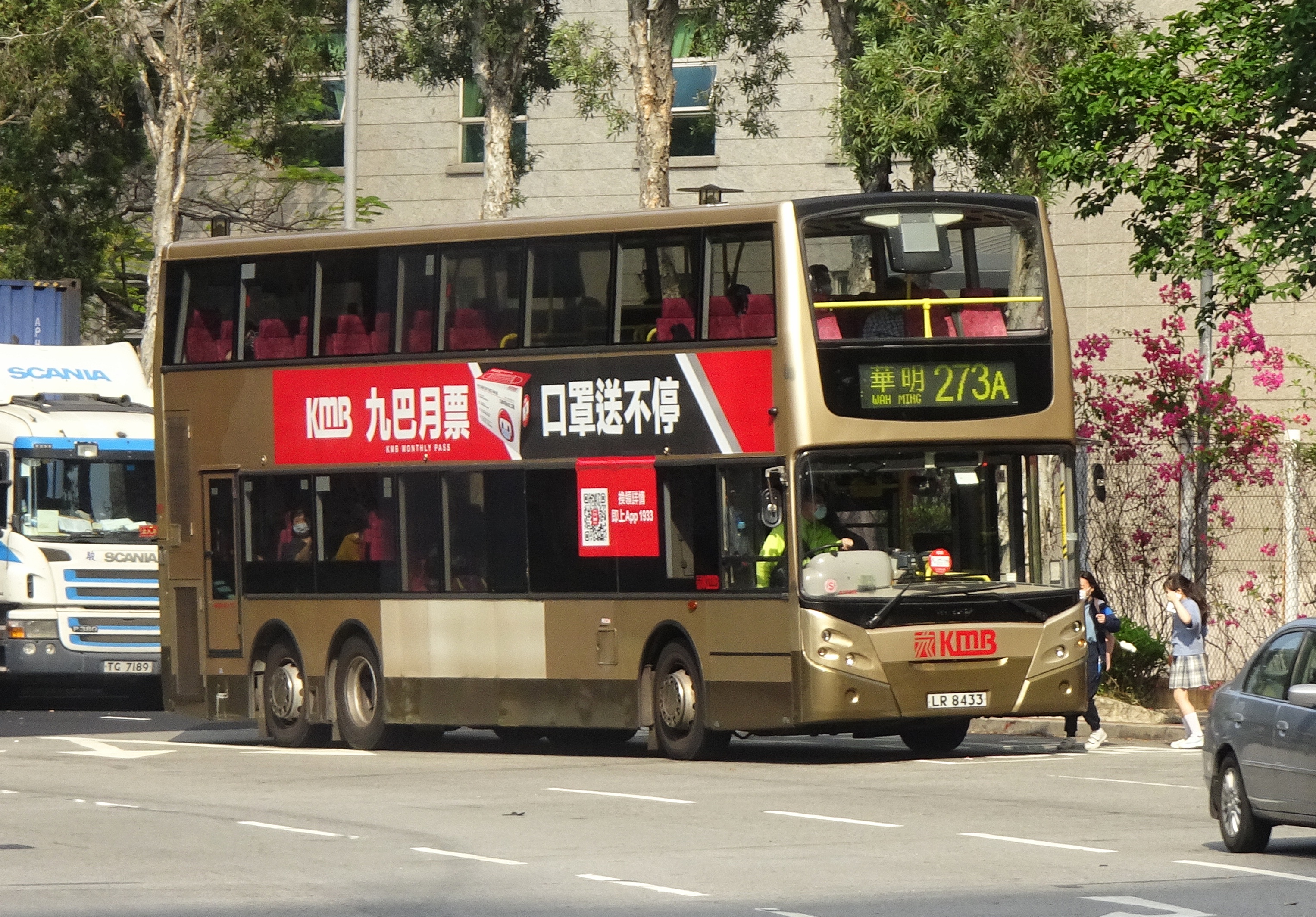 九巴273a線 香港巴士大典 Fandom